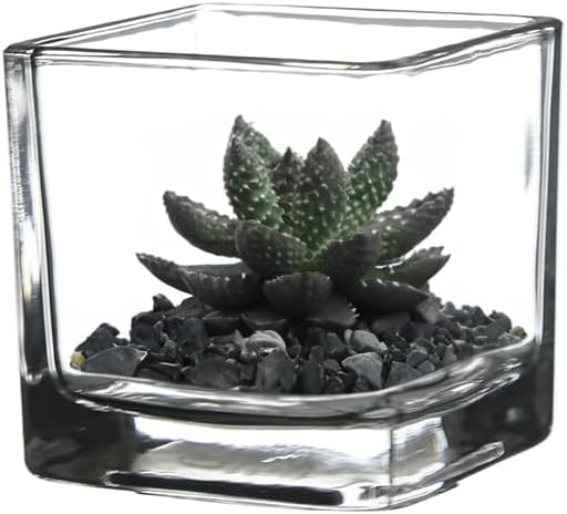 WGV 2 Inch Tea Light Votive Candle Holder, Clear, Square Cube 2”x2”, Small Tiny Bulk, Home Décor, Table Top, 6 Pcs