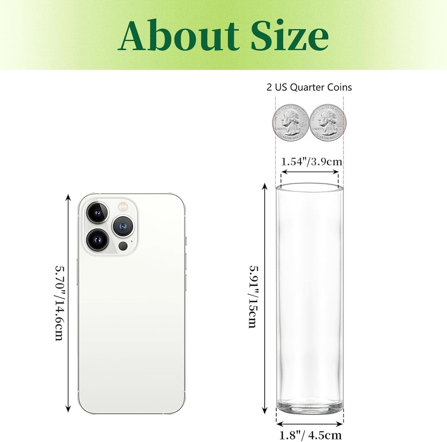 Hewory Cylinder Glass Bud Vases: Set of 24 Small Clear Skinny Single Flower Vase for Centerpieces - Minimalist Bulk Vases for Wedding Birthday Bridal Shower Party Events Table Decor, 5.91"(H)×1.8"(D)