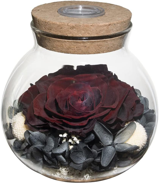 Preserved Real Roses with Colorful Mood Light Wishing Bottle,Eternal Rose，Never Withered Flowers,for Bedroom Party Table Decor, Anniversary,Valentine's,Mother's Day,a Gifts for Women (Burgundy)