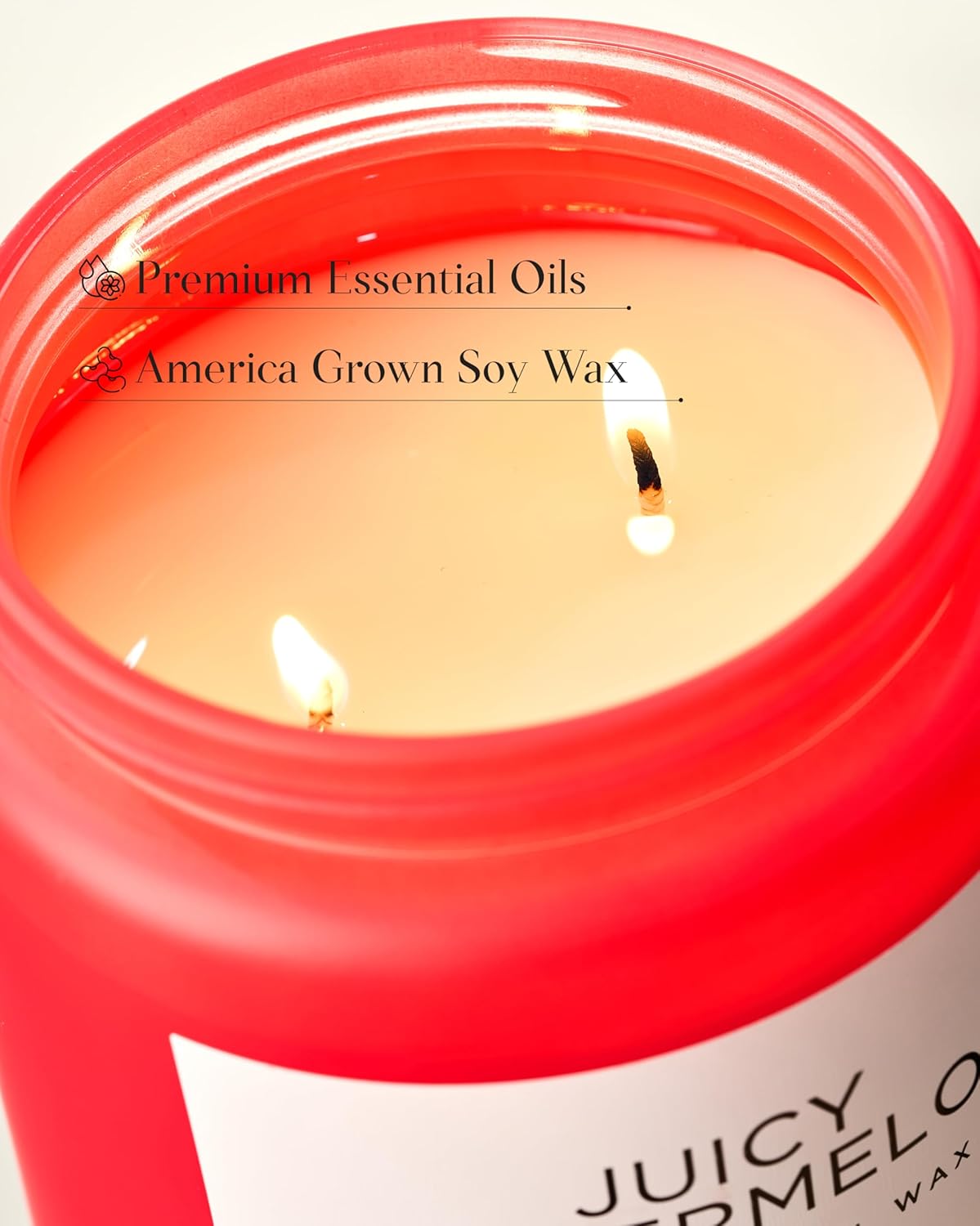 M&SENSE Juicy Watermelon Scented Candle, 19.4oz 110 Hours Clean Non Toxic Natural Soy Wax Long Lasting Candle for Women Men, 2 Wick Fruit Scent Home Fragrance Home Decor for Housewarming Gifts