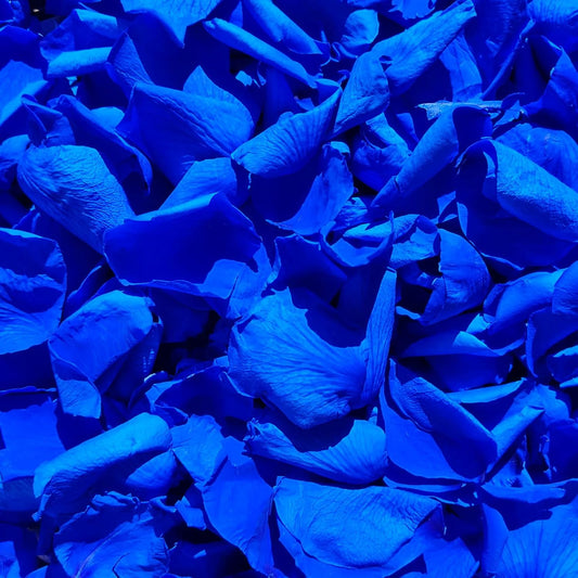 200Pcs Real Dried Preserved Royal Blue Rose Petals, Natural Flowers 1.75oz for Romantic Night Wedding Dinner Table Party Confetti Bridal Shower Decor, Royal Blue Decorations
