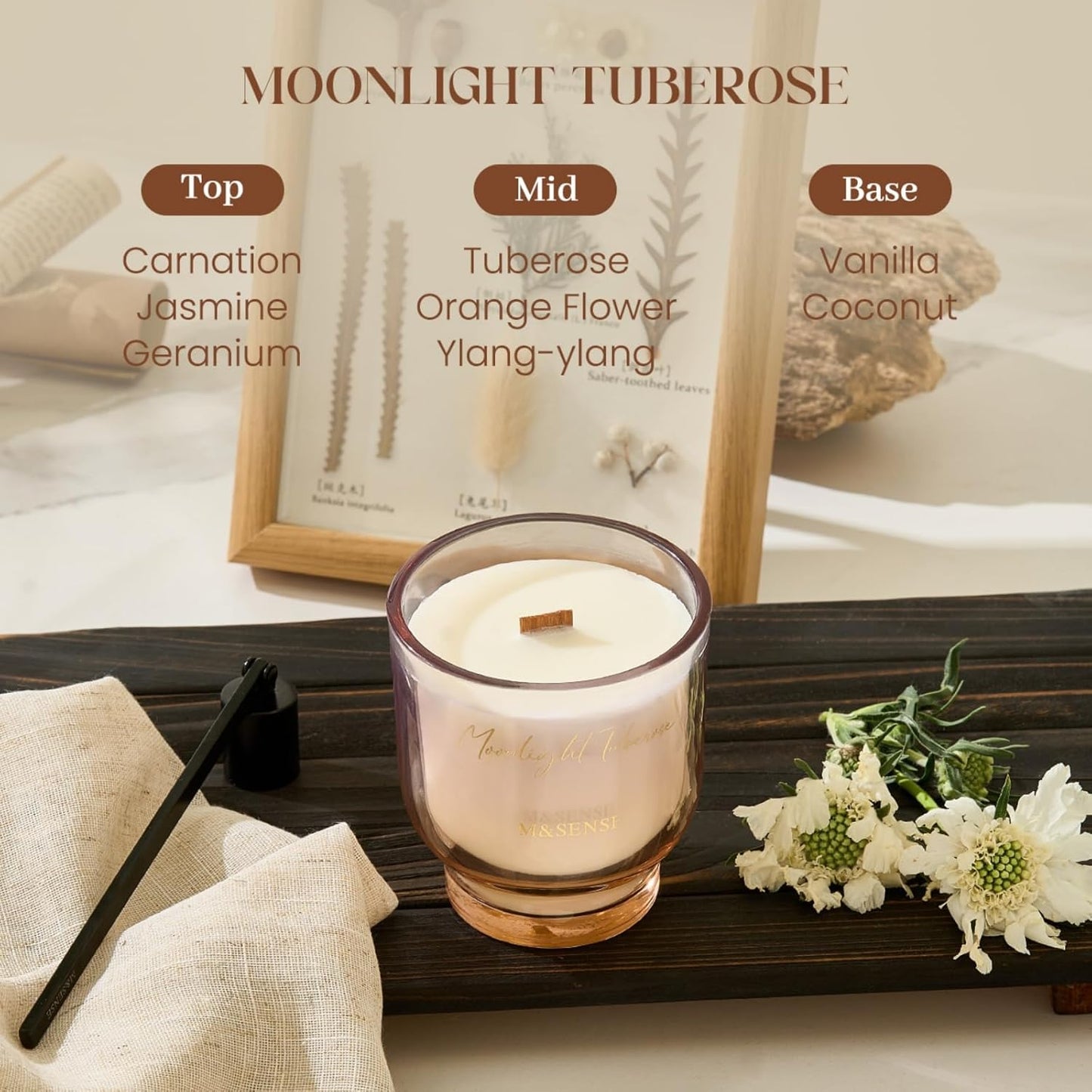 M&SENSE 9.88oz Natural Soy Wax Jar Candle with Wooden Wick | Moonlight Tuberose Scent | 55-Hour Burn & Long-Lasting Burn | Housewarming Gift for Men and Women