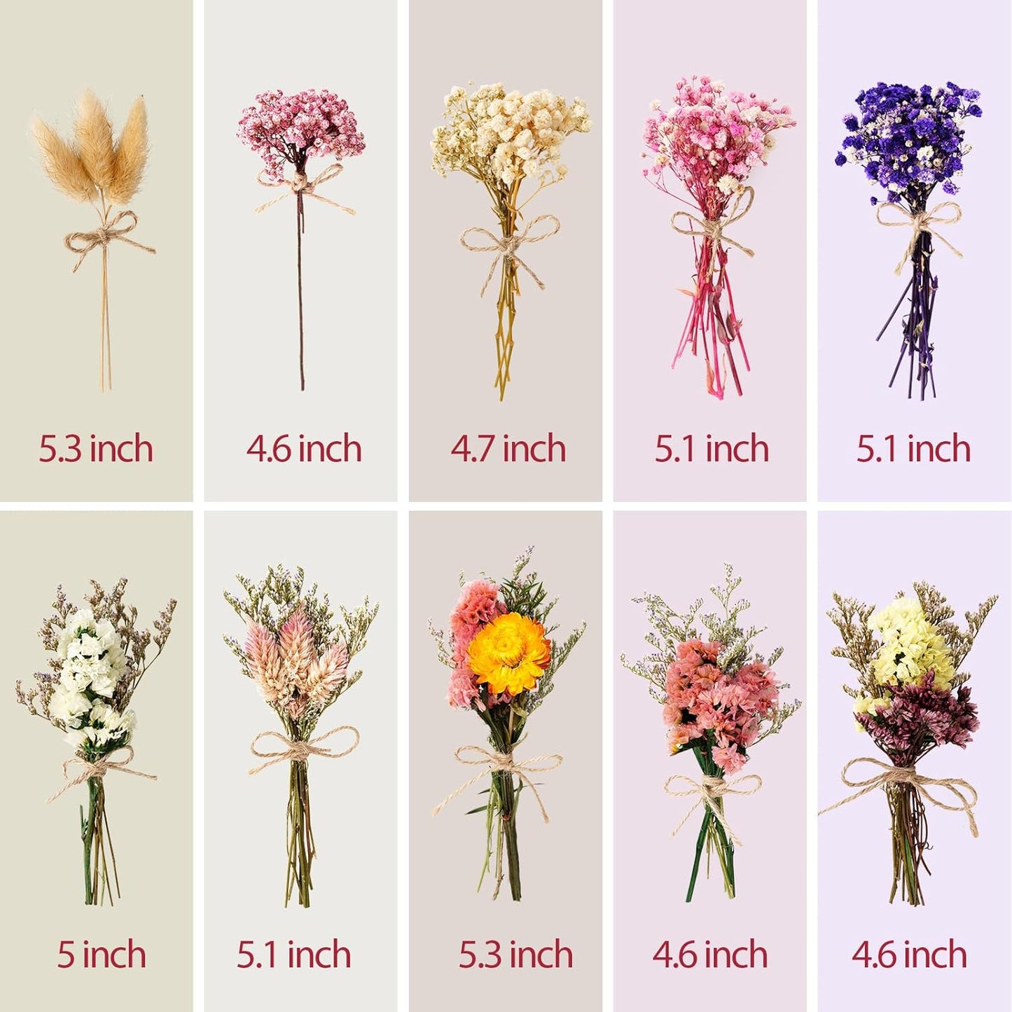 10/12/24/36 Pack Mini Dried Flowers for Vase Wedding Various Mini Bouquet Dried Small Wildflowers Natural Flowers Bulk for Crafts DIY Decor (10, Classic Color2)