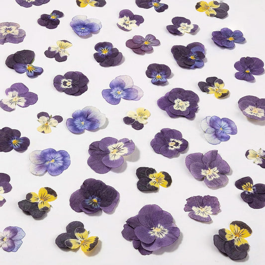 60Pcs Dried Pressed Pansies Flowers for Cake Decorating, Purple Real Dry Flower for Resin Art Crafts Jewelry Decorations