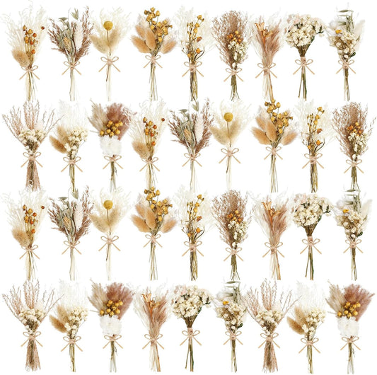 10/12/24/36 Pack Mini Dried Flowers for Vase Wedding Various Mini Bouquet Dried Small Wildflowers Natural Flowers Bulk for Crafts DIY Decor (36, Plain Colour)