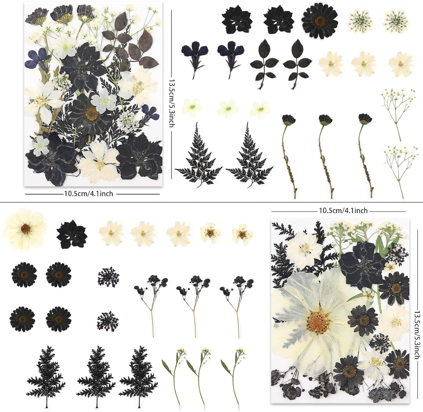 90P Black & White Dried Flowers for Crafts, Real Natural Pressed Flowers in Halloween-Style Tones for Resin Art, DIY Crafts, Jewelry & Candle Decor – Tweezers Included
