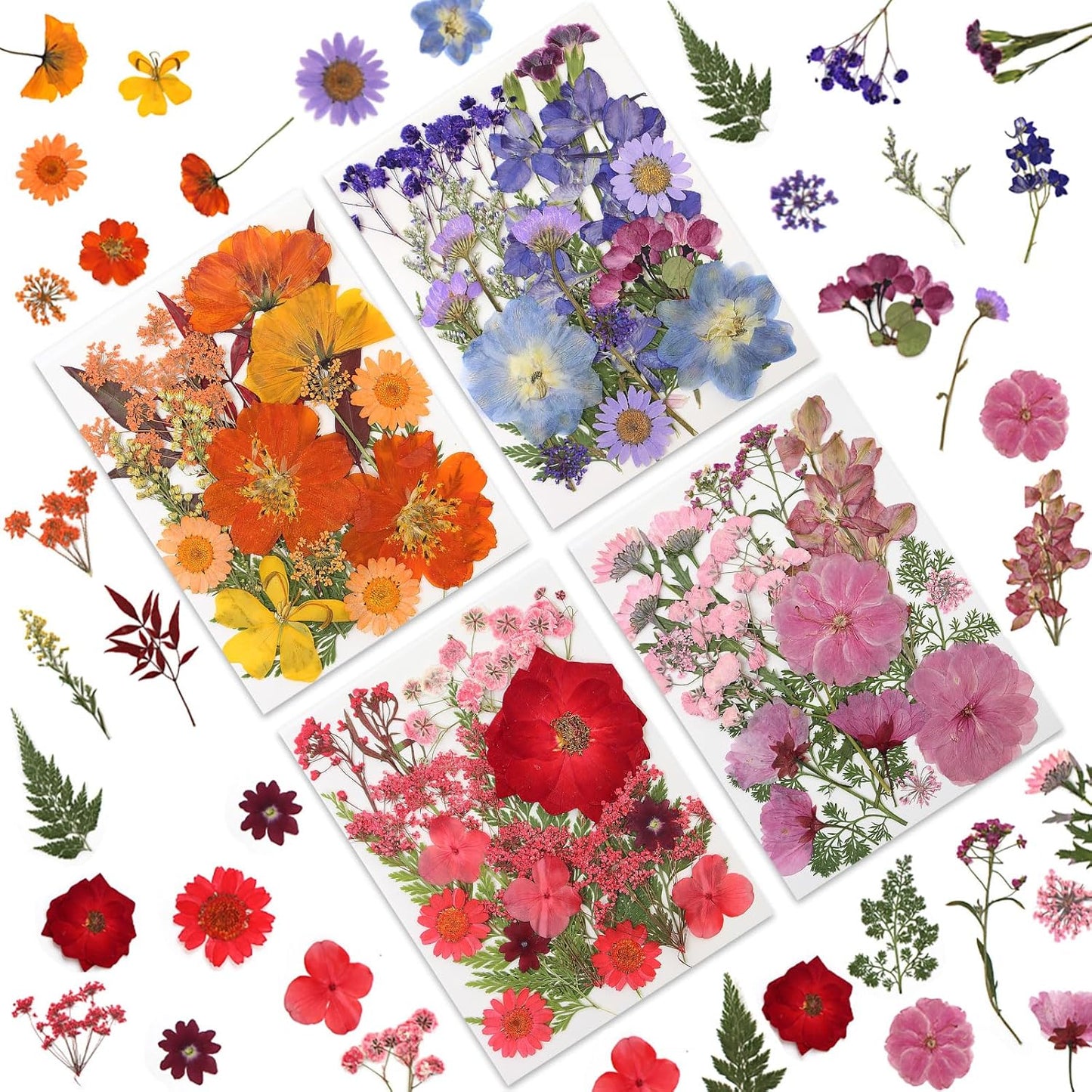 80 Pcs Dried Pressed Flowers for Crafts, Real Natural Dried Pressed Flowers in Vibrant Multicolor Tones for Resin, DIY Art, Jewelry, Candle & Soap Making – Tweezers Included