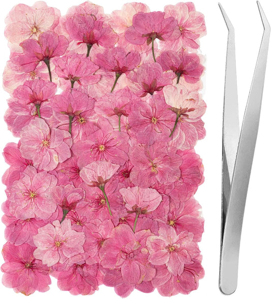 101 PCS Pressed Cherry Blossom for Crafts, Pink Dried Pressed Flowers for Resin DIY Jewelry Making Cake Card Scrapbook Decor, Dried Sakura Flowers for Soap Candle Making