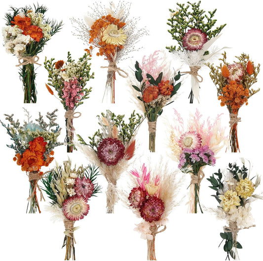 Layhit 12 Pack Boho Dried Flower Bouquet Mini Wedding Handmade Dry Flowers Decor for Vase Crafts DIY Photo Boutonniere for Men Floral Plant for Bridesmaid Gift Birthday Decor (Gerbera Daisy)