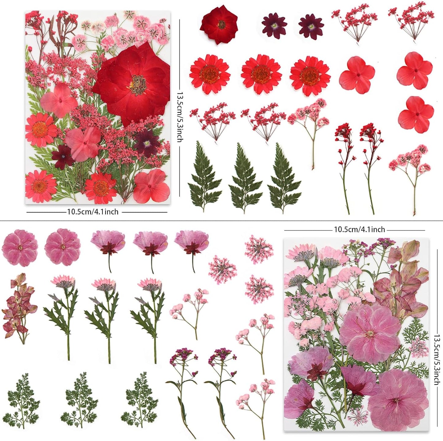 80 Pcs Dried Pressed Flowers for Crafts, Real Natural Dried Pressed Flowers in Vibrant Multicolor Tones for Resin, DIY Art, Jewelry, Candle & Soap Making – Tweezers Included