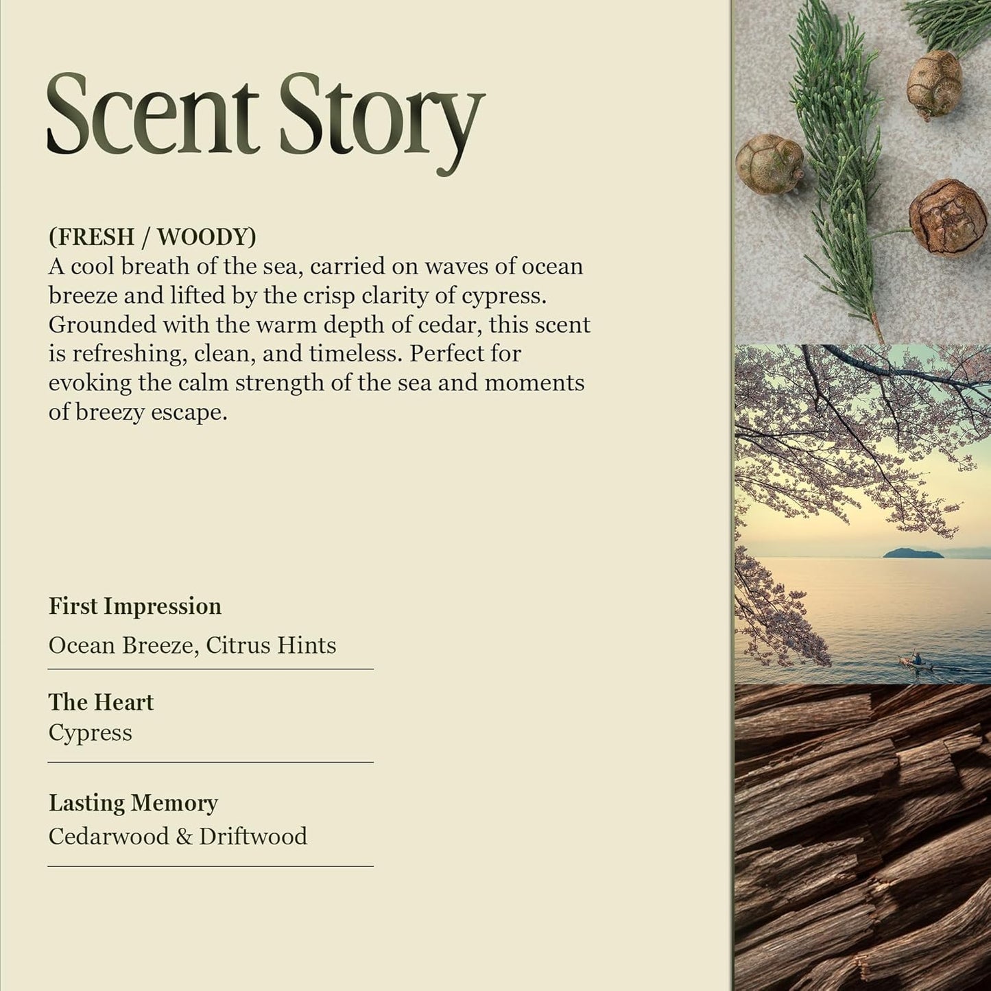 Scented Luxury Candles in Handmade Ceramic Jars, Soy Wax | Day On The Sea – Cypress & Cedar, Large Candle | Non Toxic, 2 Wicks, Reusable Big Blue Jar | Natural Spring Aromatherapy for Women & Men