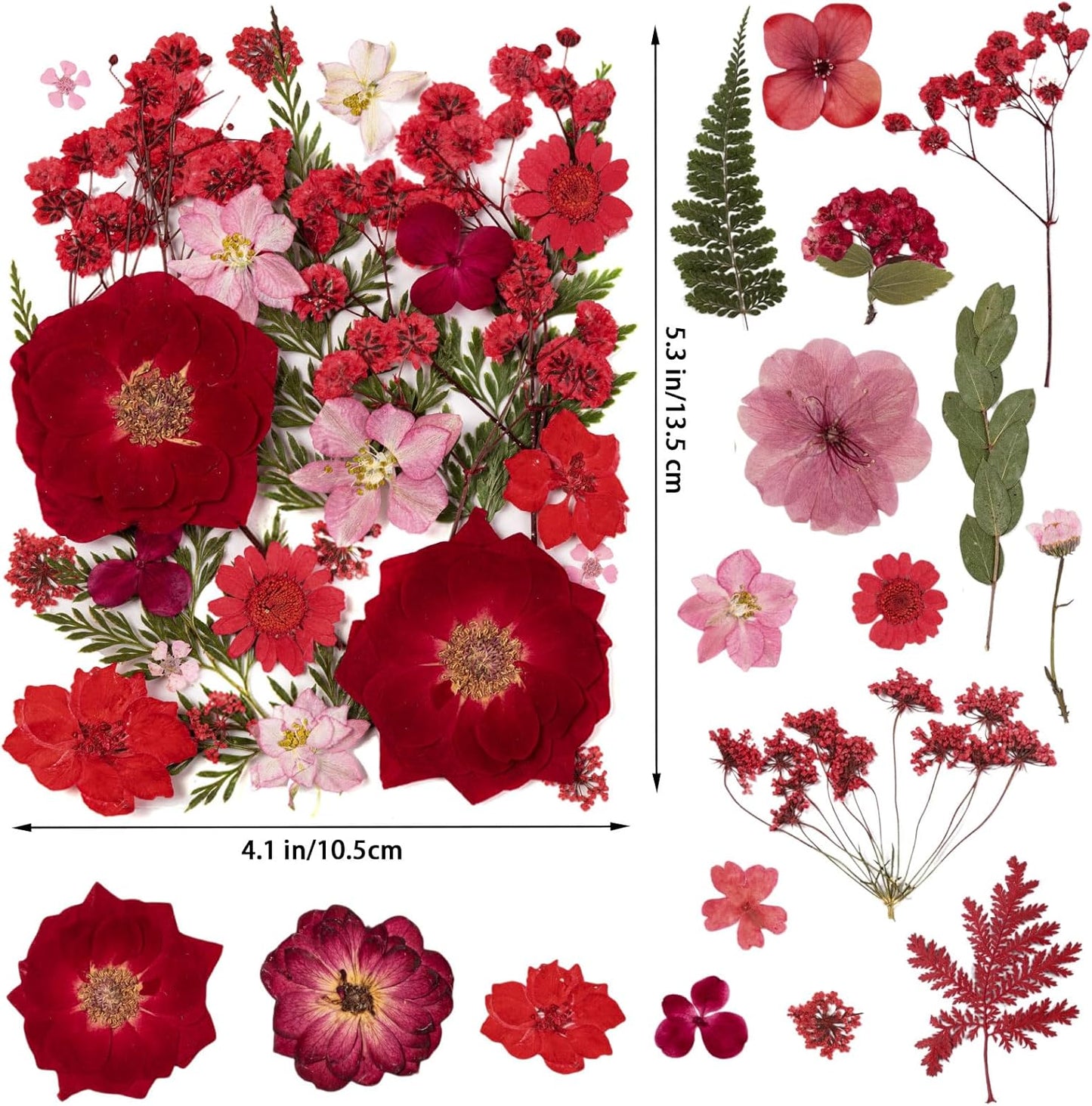 101 PCS Red Dried Pressed Flowers for Christmas Crafts Resin, Red Real Nature Flowers Bulk for DIY Holiday Cake Card Scrapbook Supplies, Large Dried Flowers for Soap Candle Making