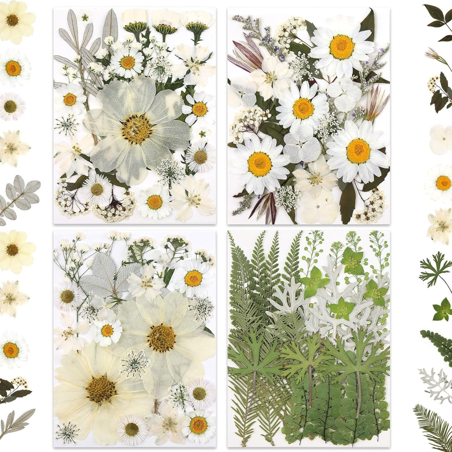 100P White Foliage & Flower Mix Dried Flowers for Crafts, Real Natural Pressed Flowers for DIY Crafts, Resin Jewelry, Candle Art & Scrapbooking Crafts – Tweezers Included