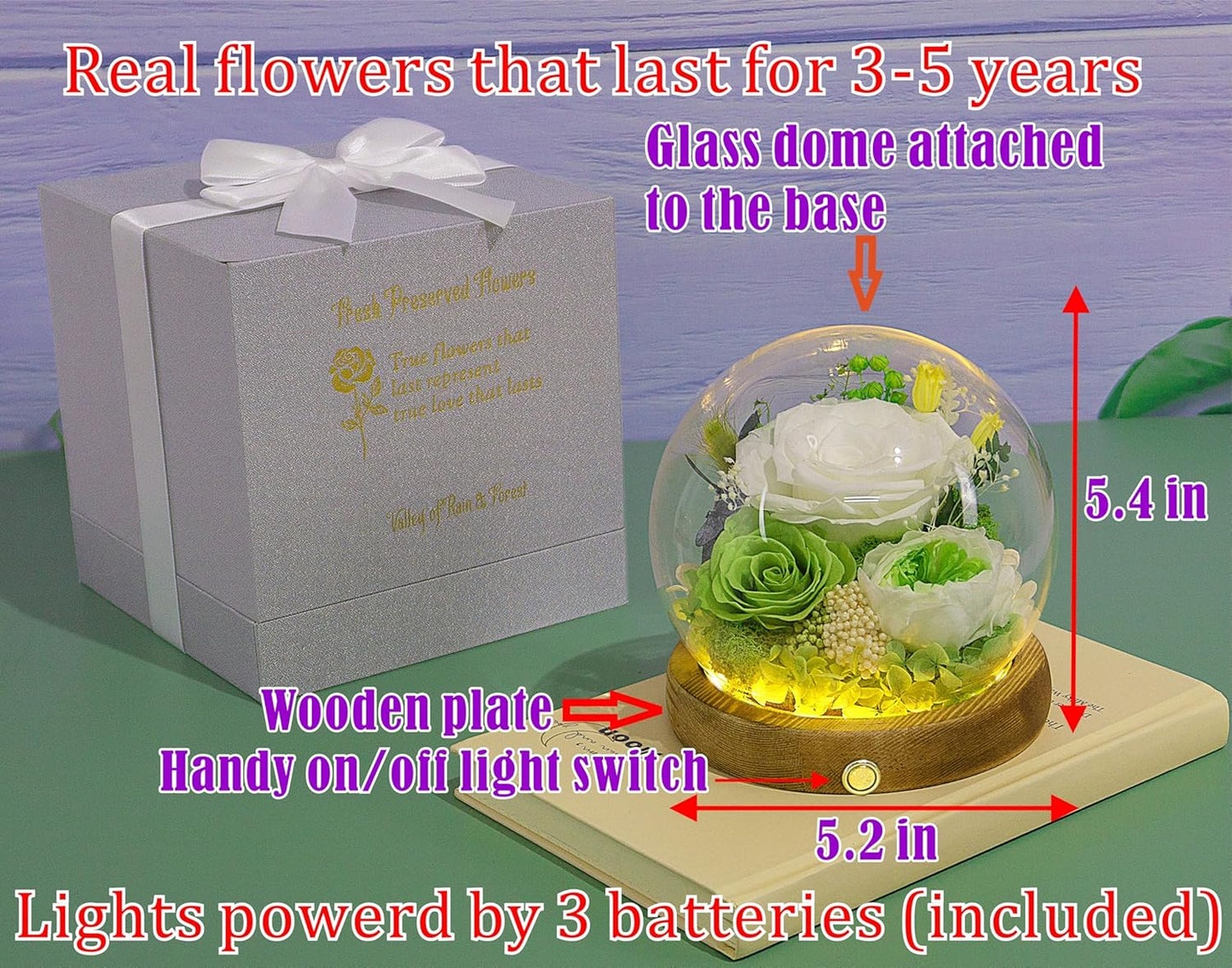 Valley of Rain & Forest Long-Lasting Real Flowers, Unique Floral Gift For you to send Love for All Occasions, for Indoor Decoration (White & Green Roses Arrangement)